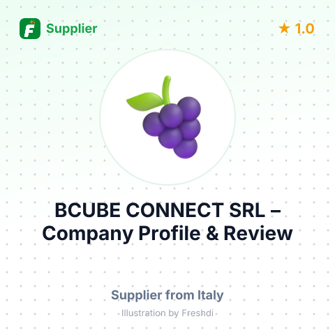 BCUBE CONNECT SRL – summary card, no photo uploaded yet