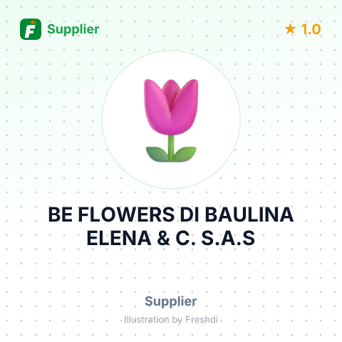 BE FLOWERS DI BAULINA ELENA & C. S.A.S – summary card, no photo uploaded yet