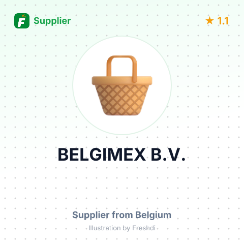 BELGIMEX B.V. – summary card, no photo uploaded yet