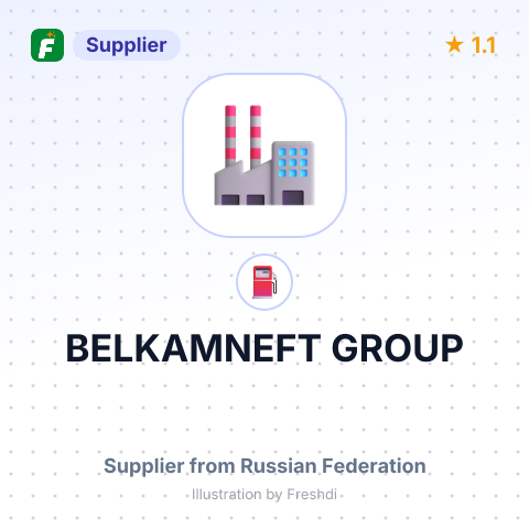 BELKAMNEFT GROUP – summary card, no photo uploaded yet