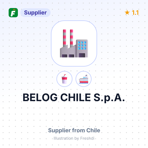 BELOG CHILE S.p.A. – summary card, no photo uploaded yet