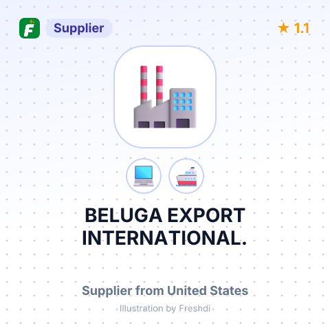 BELUGA EXPORT INTERNATIONAL. – summary card, no photo uploaded yet
