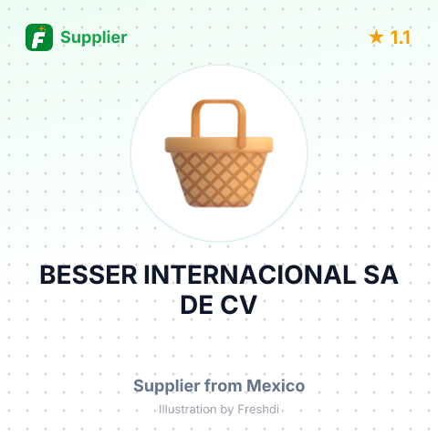 BESSER INTERNACIONAL SA DE CV – summary card, no photo uploaded yet