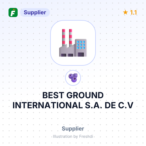 BEST GROUND INTERNATIONAL S.A. DE C.V – summary card, no photo uploaded yet