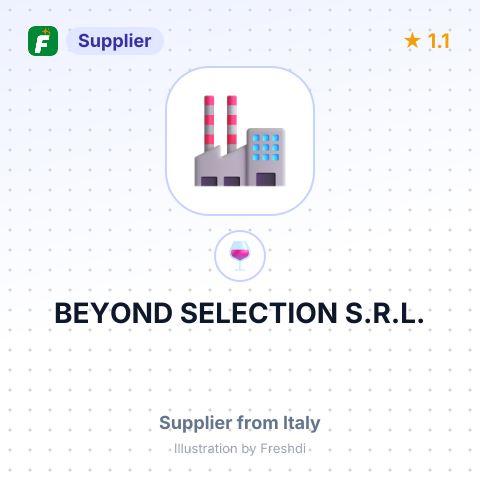 BEYOND SELECTION S.R.L. – summary card, no photo uploaded yet