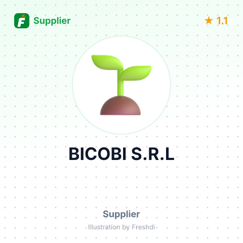 BICOBI S.R.L – summary card, no photo uploaded yet