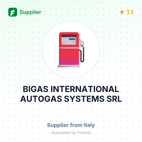 BIGAS INTERNATIONAL AUTOGAS SYSTEMS SRL – summary card, no photo uploaded yet