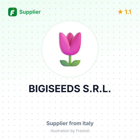 BIGISEEDS S.R.L. – summary card, no photo uploaded yet