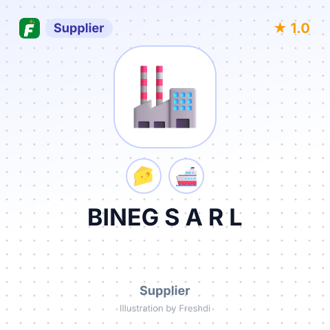 BINEG S A R L – summary card, no photo uploaded yet