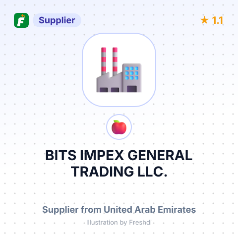 BITS IMPEX GENERAL TRADING LLC. – summary card, no photo uploaded yet