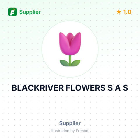 BLACKRIVER FLOWERS S A S – summary card, no photo uploaded yet