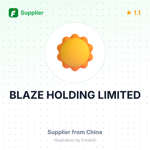 BLAZE HOLDING LIMITED – summary card, no photo uploaded yet