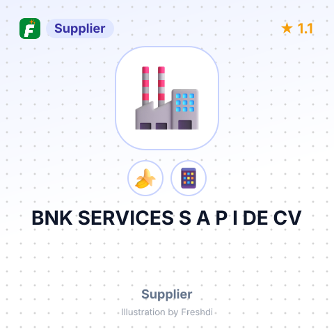 BNK SERVICES S A P I DE CV – summary card, no photo uploaded yet
