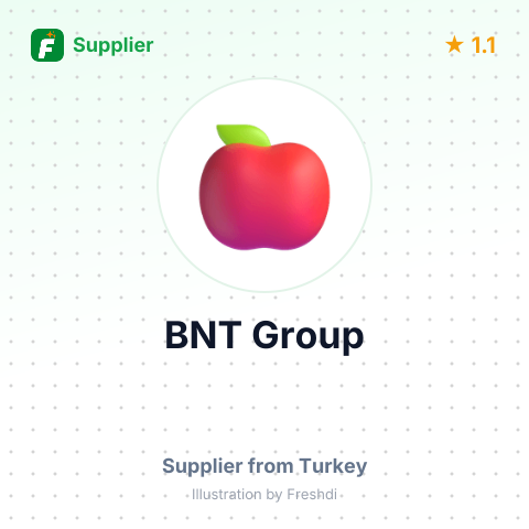 BNT Group  – summary card, no photo uploaded yet