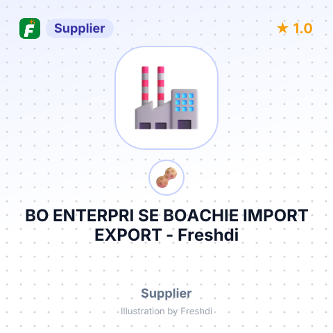 BO ENTERPRI SE BOACHIE IMPORT EXPORT – summary card, no photo uploaded yet