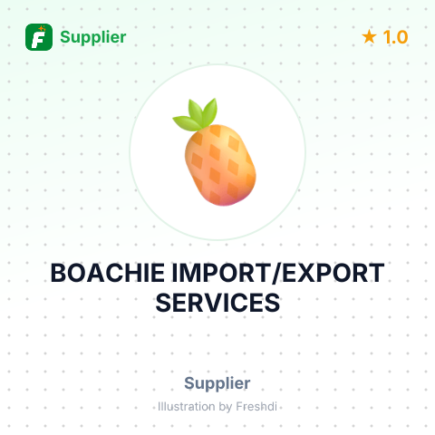 BOACHIE IMPORT/EXPORT SERVICES – summary card, no photo uploaded yet