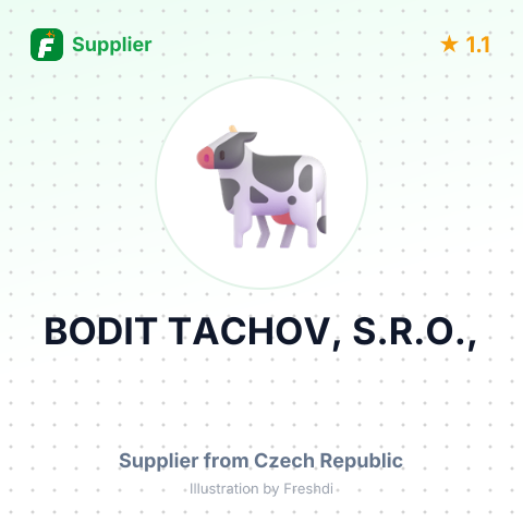 BODIT TACHOV, S.R.O., – summary card, no photo uploaded yet