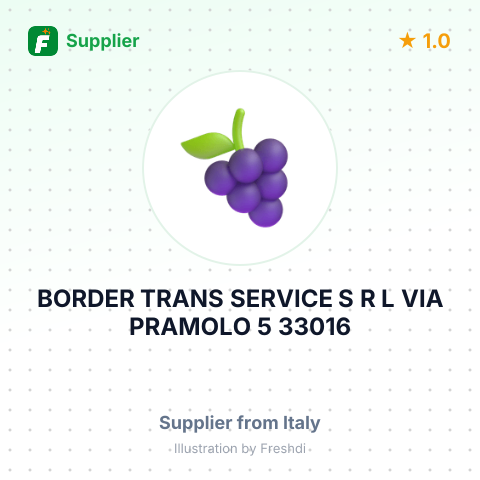 BORDER TRANS SERVICE S R L VIA PRAMOLO 5 33016 PONTEBBA UD ITALY – summary card, no photo uploaded yet