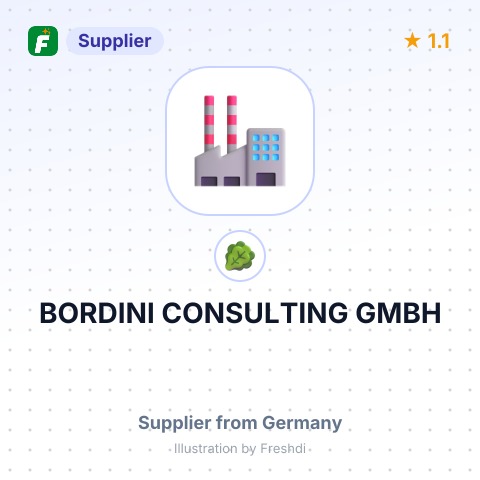 BORDINI CONSULTING GMBH – summary card, no photo uploaded yet