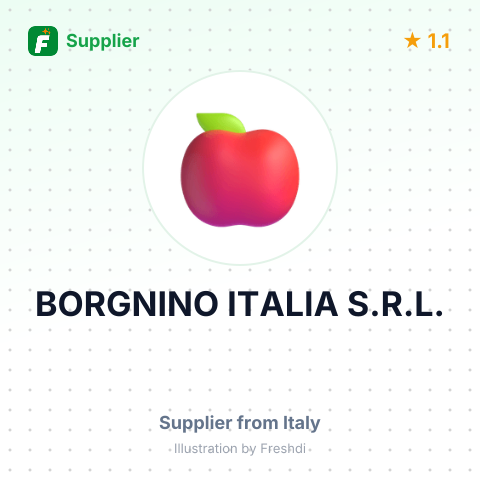 BORGNINO ITALIA S.R.L. – summary card, no photo uploaded yet