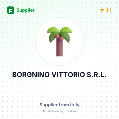 BORGNINO VITTORIO S.R.L. – summary card, no photo uploaded yet