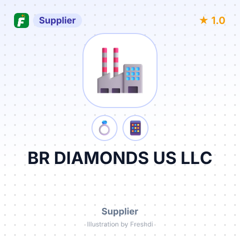 BR DIAMONDS US LLC – summary card, no photo uploaded yet