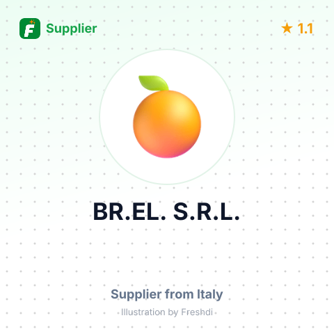 BR.EL. S.R.L. – summary card, no photo uploaded yet
