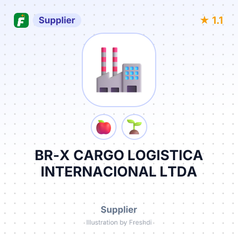 BR-X CARGO LOGISTICA INTERNACIONAL LTDA – summary card, no photo uploaded yet