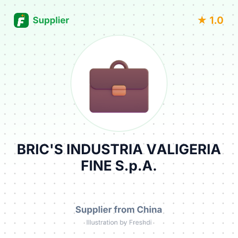 BRIC'S INDUSTRIA VALIGERIA FINE S.p.A. – summary card, no photo uploaded yet