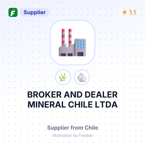 BROKER AND DEALER MINERAL CHILE LTDA – summary card, no photo uploaded yet