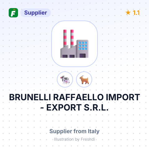 BRUNELLI RAFFAELLO IMPORT - EXPORT S.R.L. – summary card, no photo uploaded yet