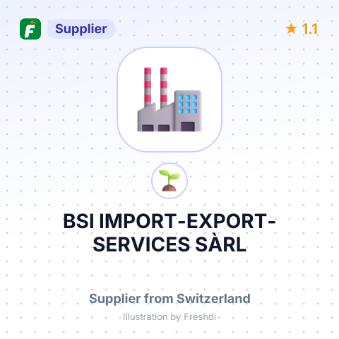 BSI IMPORT-EXPORT-SERVICES SÀRL – summary card, no photo uploaded yet