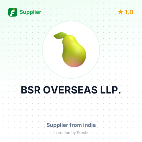 BSR OVERSEAS LLP. – summary card, no photo uploaded yet