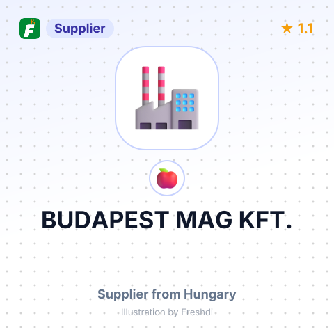 BUDAPEST MAG KFT. – summary card, no photo uploaded yet