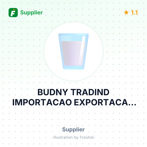 BUDNY TRADIND IMPORTACAO EXPORTACAO EIRELI – summary card, no photo uploaded yet