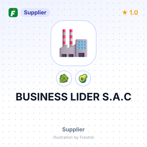 BUSINESS LIDER S.A.C – summary card, no photo uploaded yet