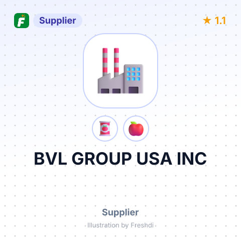 BVL GROUP USA INC – summary card, no photo uploaded yet