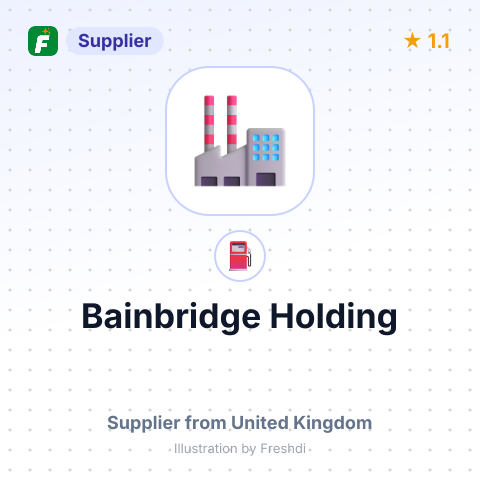 Bainbridge Holding – summary card, no photo uploaded yet