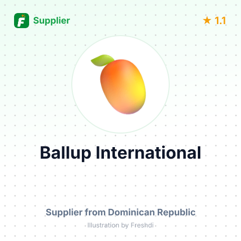 Ballup International  – summary card, no photo uploaded yet