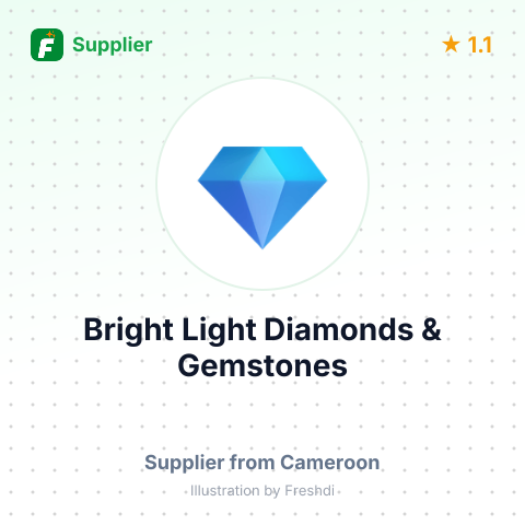Bright Light Diamonds & Gemstones – summary card, no photo uploaded yet
