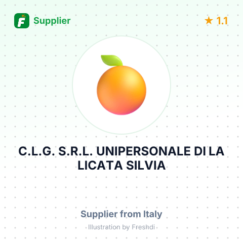 C.L.G. S.R.L. UNIPERSONALE DI LA LICATA SILVIA – summary card, no photo uploaded yet