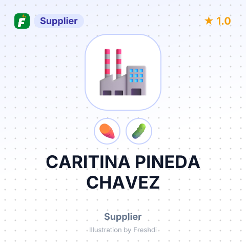 CARITINA PINEDA CHAVEZ – summary card, no photo uploaded yet