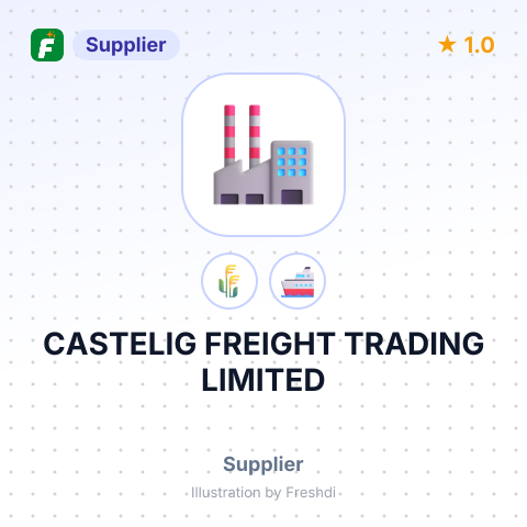 CASTELIG FREIGHT TRADING LIMITED – summary card, no photo uploaded yet