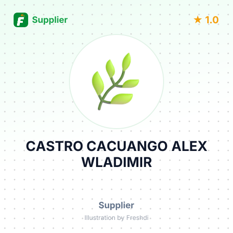 CASTRO CACUANGO ALEX WLADIMIR – summary card, no photo uploaded yet