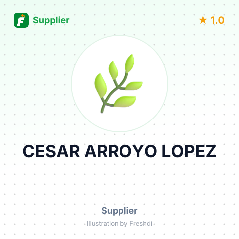 CESAR ARROYO LOPEZ – summary card, no photo uploaded yet