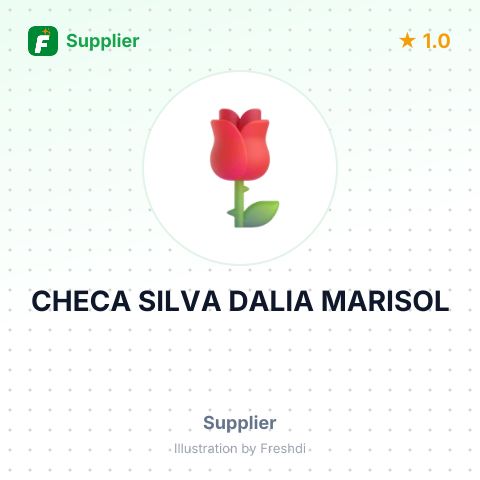 CHECA SILVA DALIA MARISOL – summary card, no photo uploaded yet