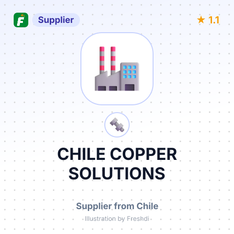 CHILE COPPER SOLUTIONS – summary card, no photo uploaded yet