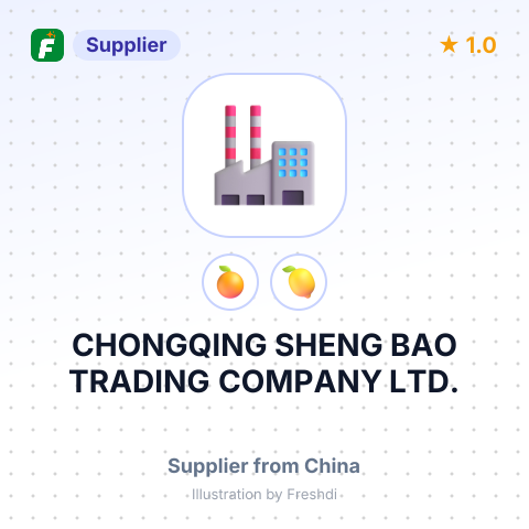 CHONGQING SHENG BAO TRADING COMPANY LTD. – summary card, no photo uploaded yet