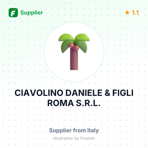 CIAVOLINO DANIELE & FIGLI ROMA S.R.L. – summary card, no photo uploaded yet