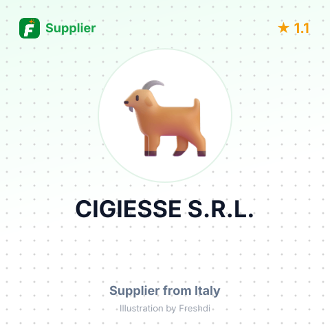 CIGIESSE S.R.L. – summary card, no photo uploaded yet
